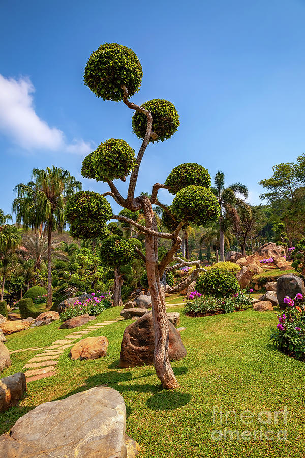 Doi Tung Garden Chiang Rai  Photograph by Adrian Evans