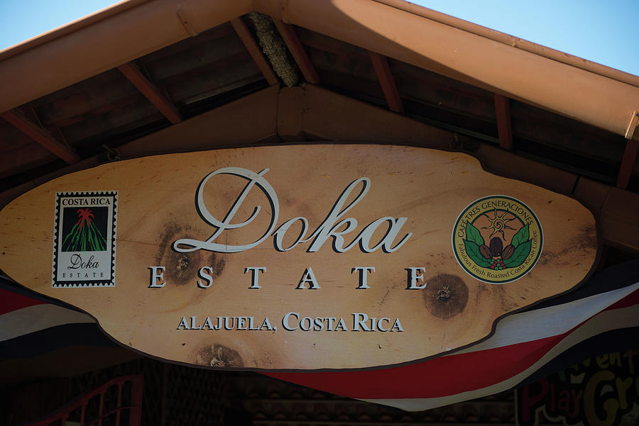 Doka Coffee Estate Digital Art