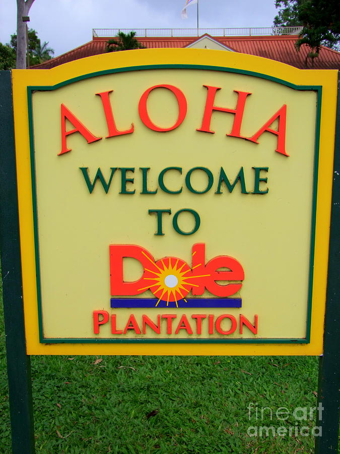 Dole Plantation Sign - 1 Photograph