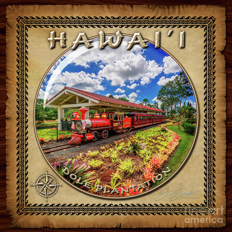 Dole Plantation Train Sphere Image with Hawaiian Style Border Photograph by Aloha Art