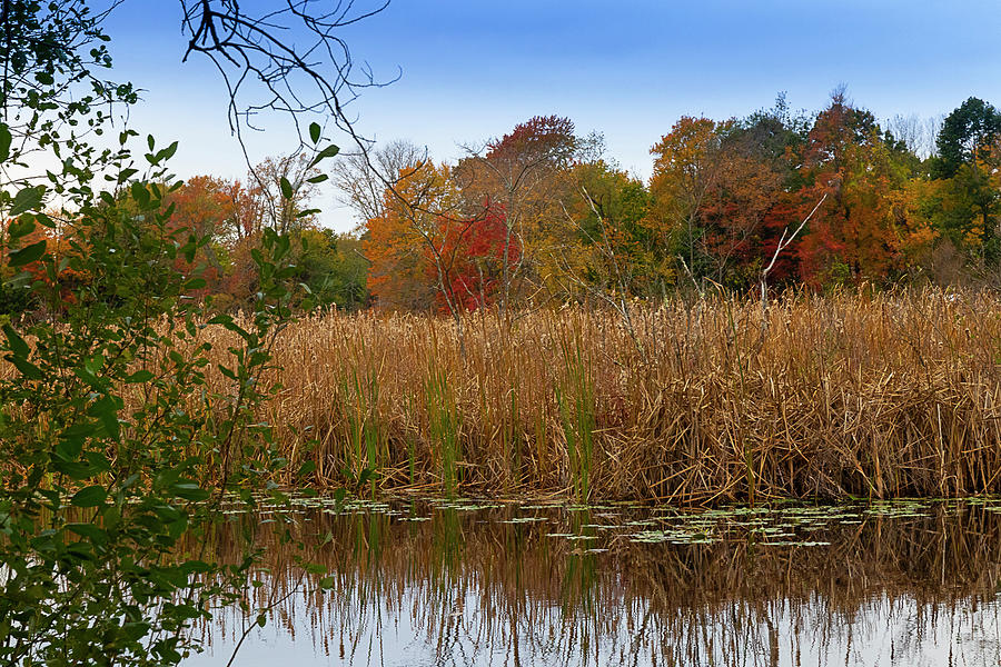 Fall Photograph - Doleful Pond by Kathy Nottingham