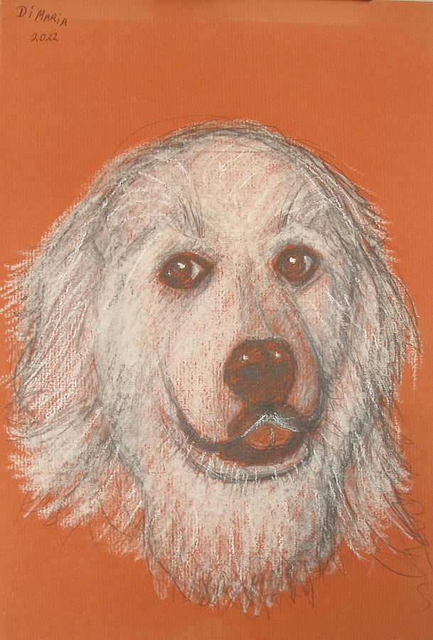 Dolly Drawing by Donelli  DiMaria