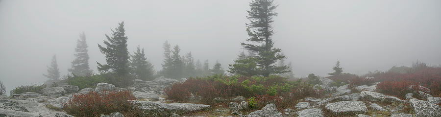 Dolly Sods Fog Panorama Photograph by Carolyn Hutchins