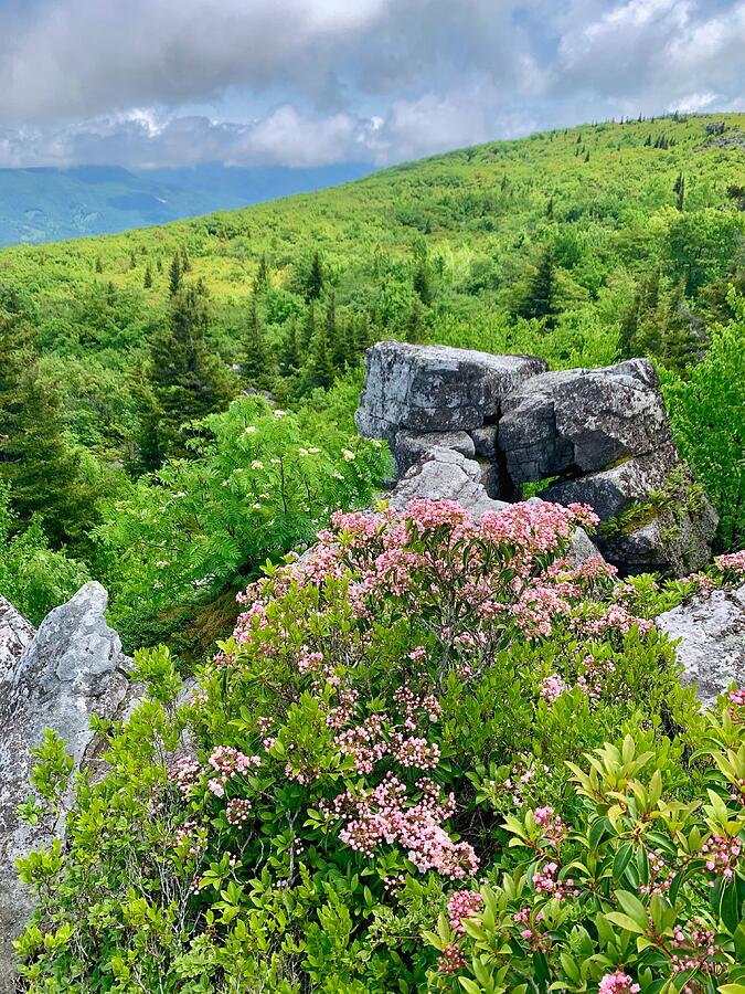 Dolly Sods - II by JHolmes Snapshots