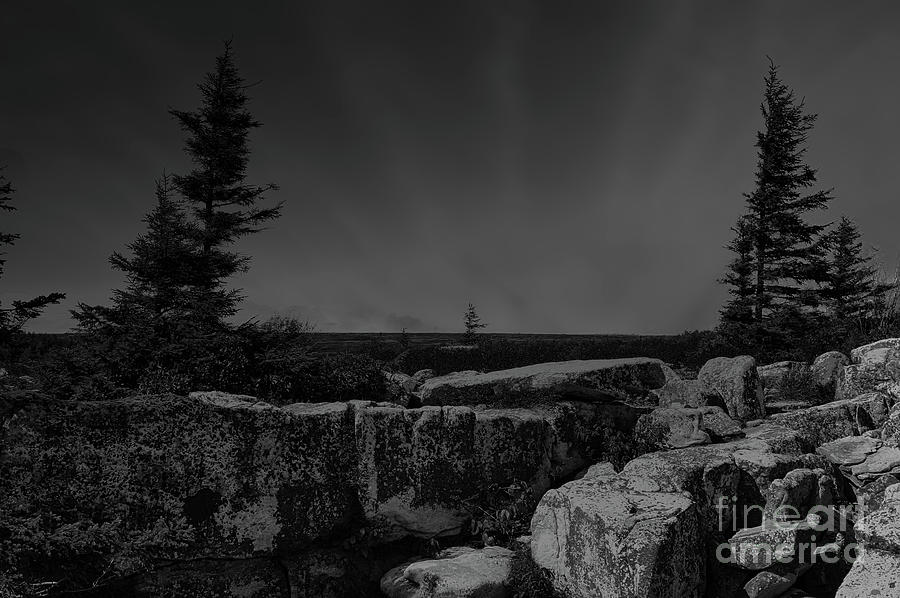 Dolly Sods Photograph