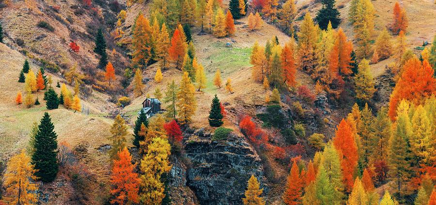 Dolomites Autumn foliage Photograph by Songquan Deng
