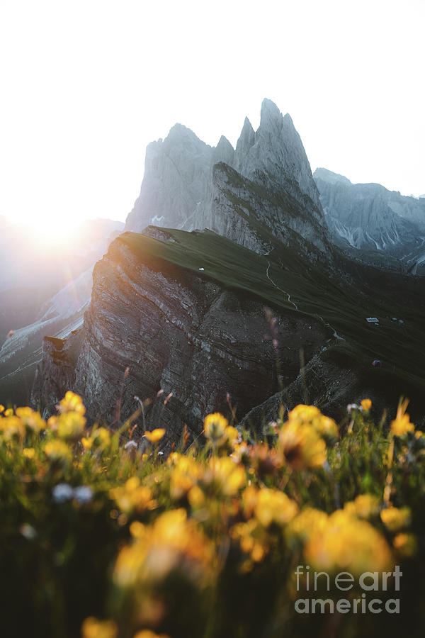 Dolomites Sunrise Photograph