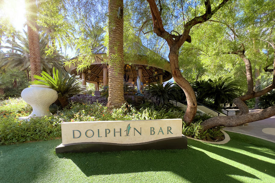 Dolphin Bar at The Mirage Pool Photograph by Ricky Barnard