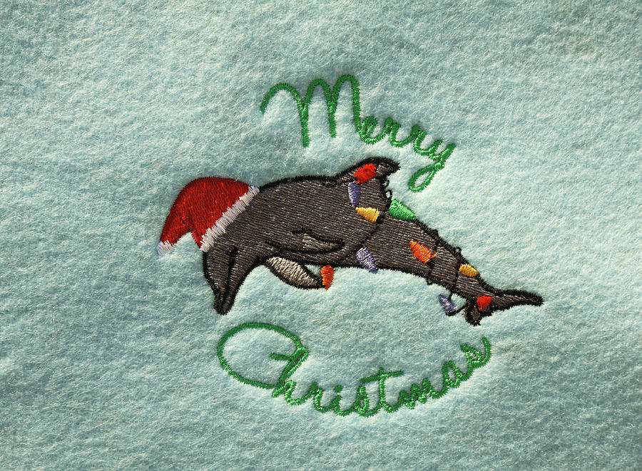 Dolphin Christmas Photograph by Sally Weigand