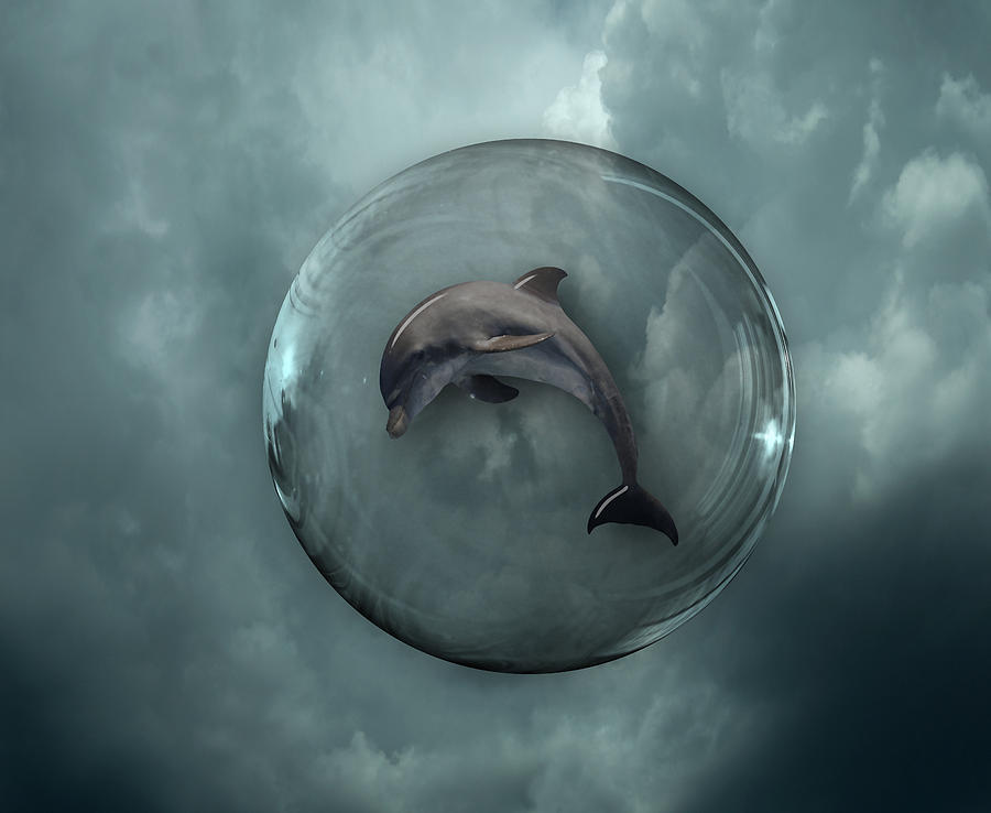 Dolphin Dream 2 Mixed Media by Marvin Blaine
