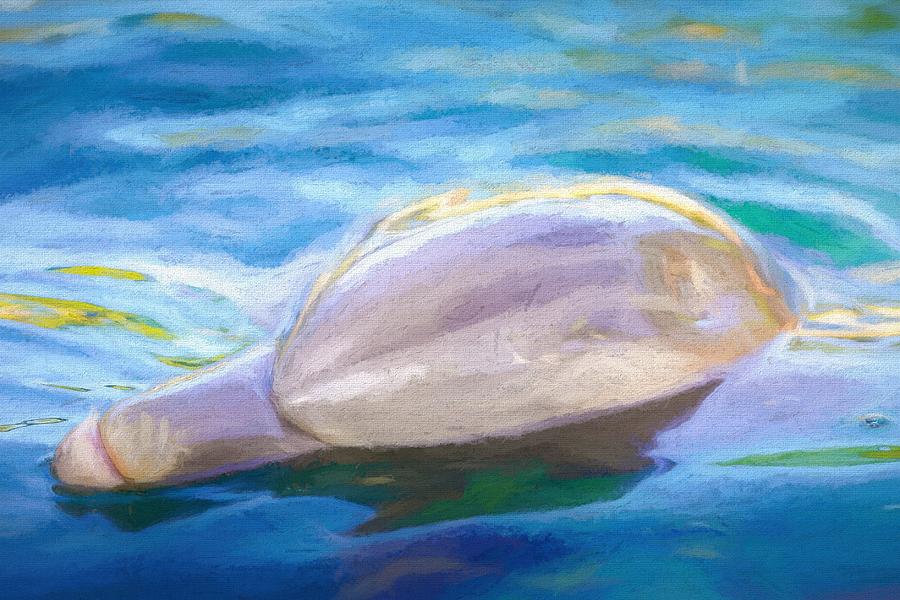 Dolphin Dreaming II Painting by Susan Rydberg