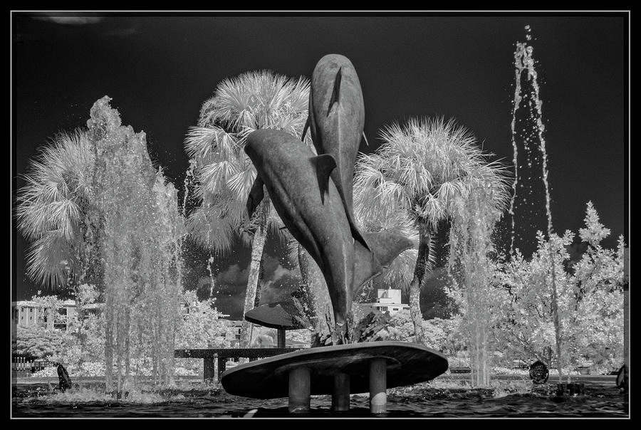 Dolphin Fountain Photograph by Jeffrey Marmaro - Fine Art America