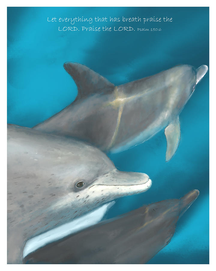 Dolphin Life Digital Art by Scott Stafstrom