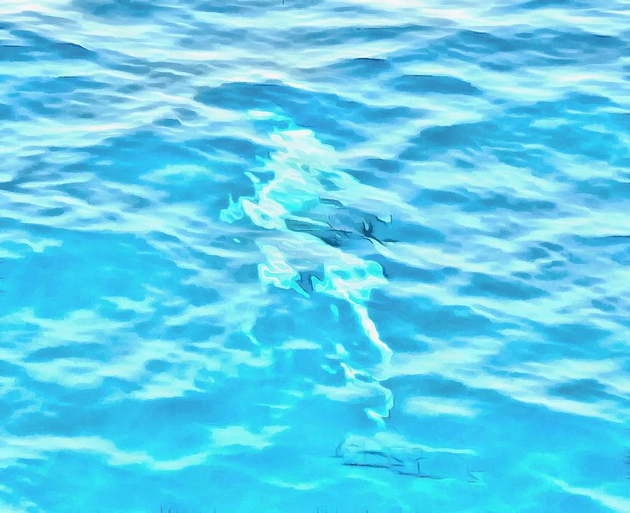 Dolphin Under The Water Photograph