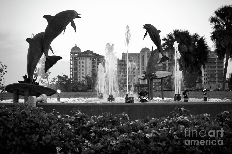 Dolphins Fountain Bayfront Park Photograph