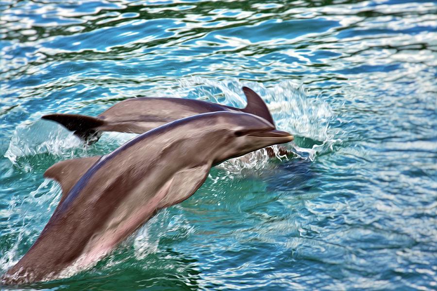 Dolphins jumping and playing in the water Photograph by Tatiana Travelways