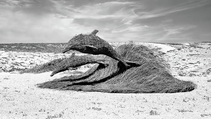Dolphins Riding a Wave Sculpture - Elliston - BW Photograph by Lexa Harpell