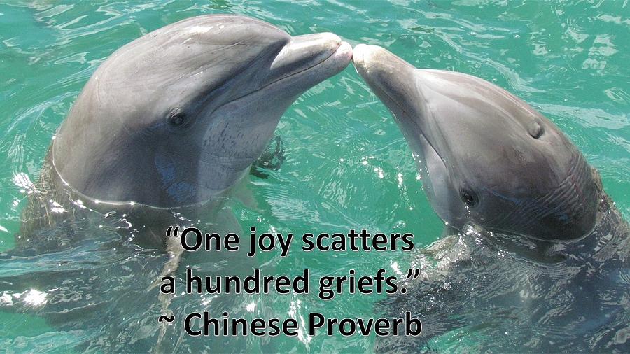Dolphins Bring Joy Photograph by Nancy Ayanna Wyatt