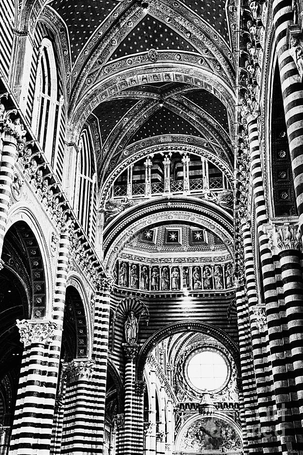 Dome of Siena in Black and White Photograph by Ramona Matei