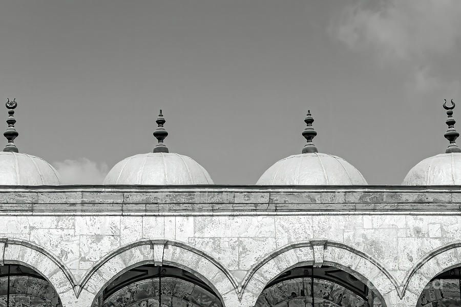 Domes of the Muhammad Ali Mosque Photograph by Tom Watkins PVminer pixs