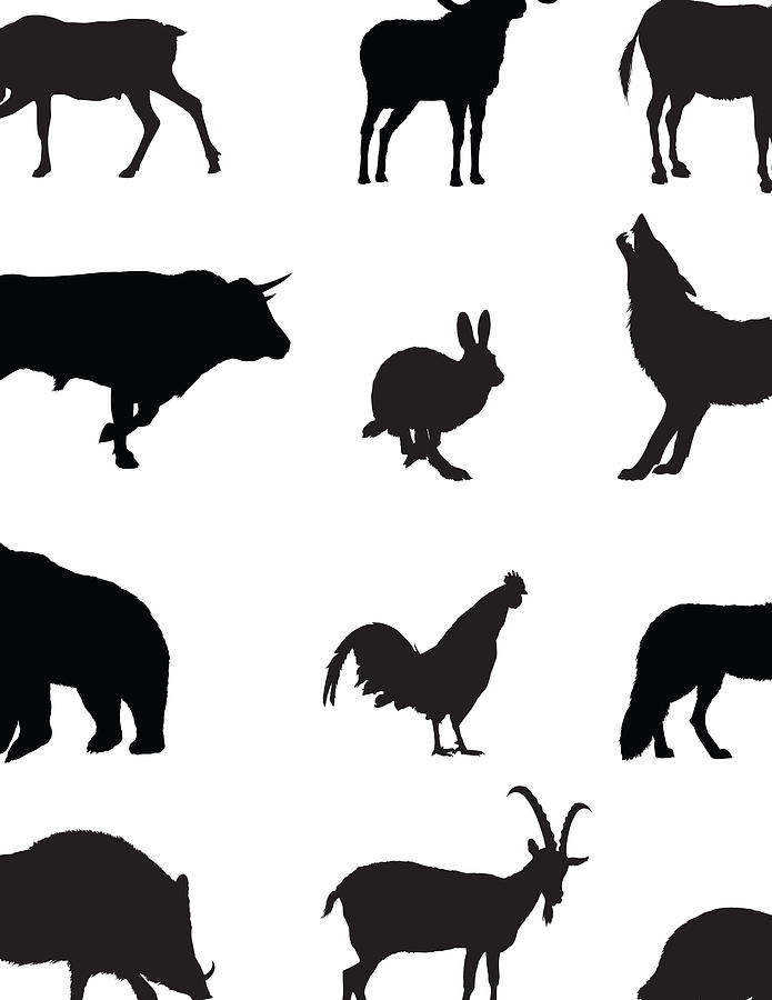 Domestic and Wild Animals Silhouette Drawing by Vectorig