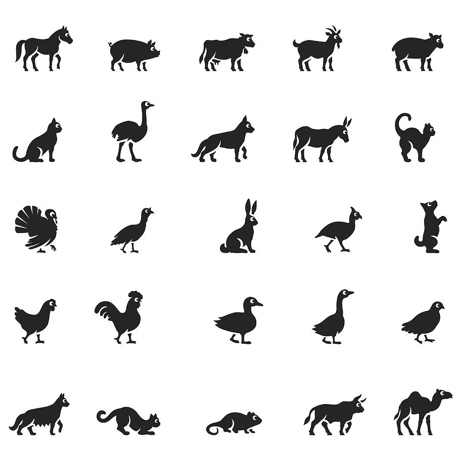 Domestic Animals Icon Set Drawing by AlonzoDesign
