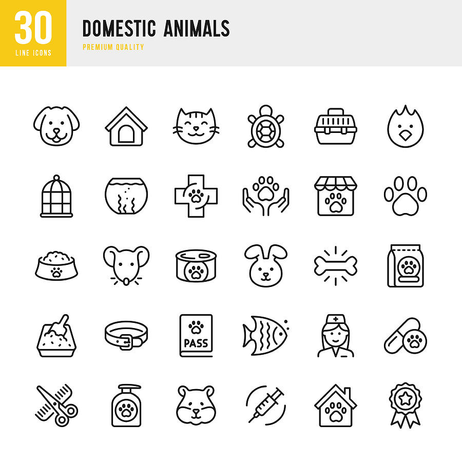 Domestic Animals - thin line vector icon set. Pixel Perfect. Set contains such icons as Pets, Dog, Cat, Bird, Fish, Hamster, Mouse, Rabbit, Pet Food, Grooming. Drawing by Fonikum