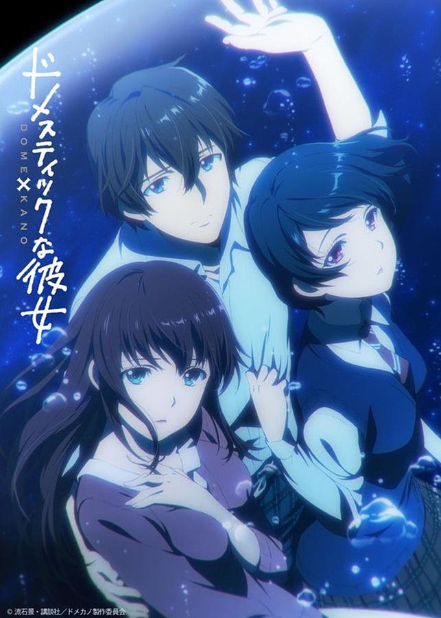Domestic Girlfriend Who Does Natsuo End Up With Domestic Girlfriend - Rui Hina Natsuo Poster Digital Art by Jeffery
