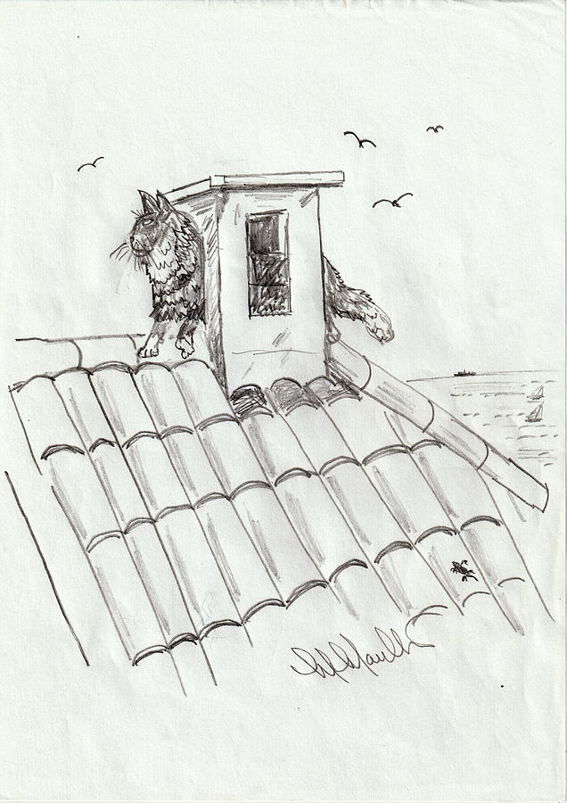 Domingo Climbes Through A Chimey Pot In Spain Drawing by Mackenzie Moulton