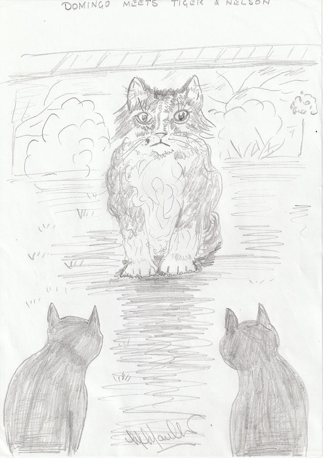 Domingo Meets Her Neighbours Cats Nelson And Tiger Drawing by Mackenzie Moulton