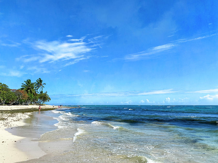 Dominican Republic Amber Coast Beach Strolling Photograph by Debra Martz