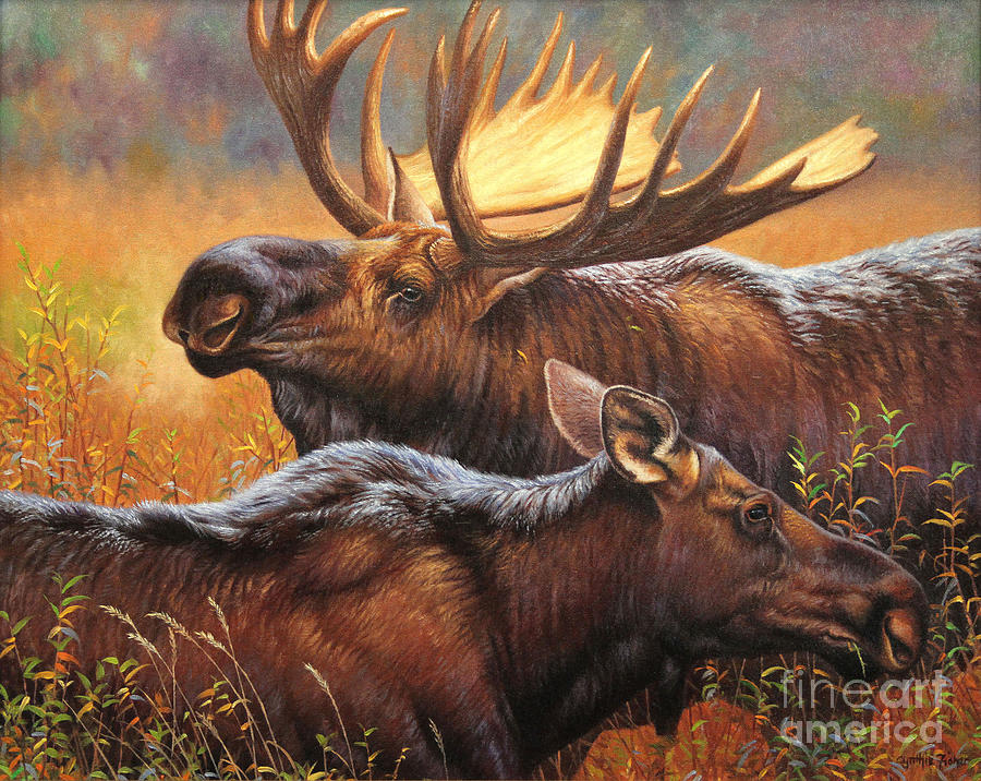 Don Juan - Moose Painting by Cynthie Fisher