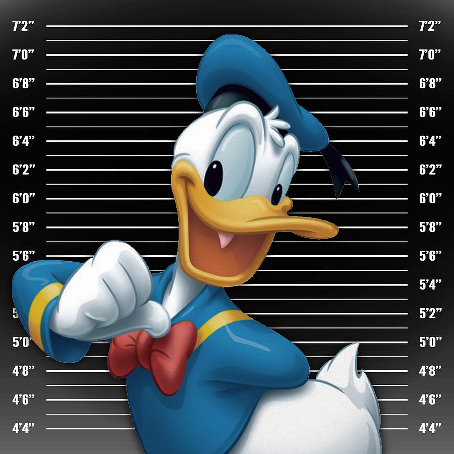 Donald Duck Mug Shot Mugshot Painting by Tony Rubino - Pixels