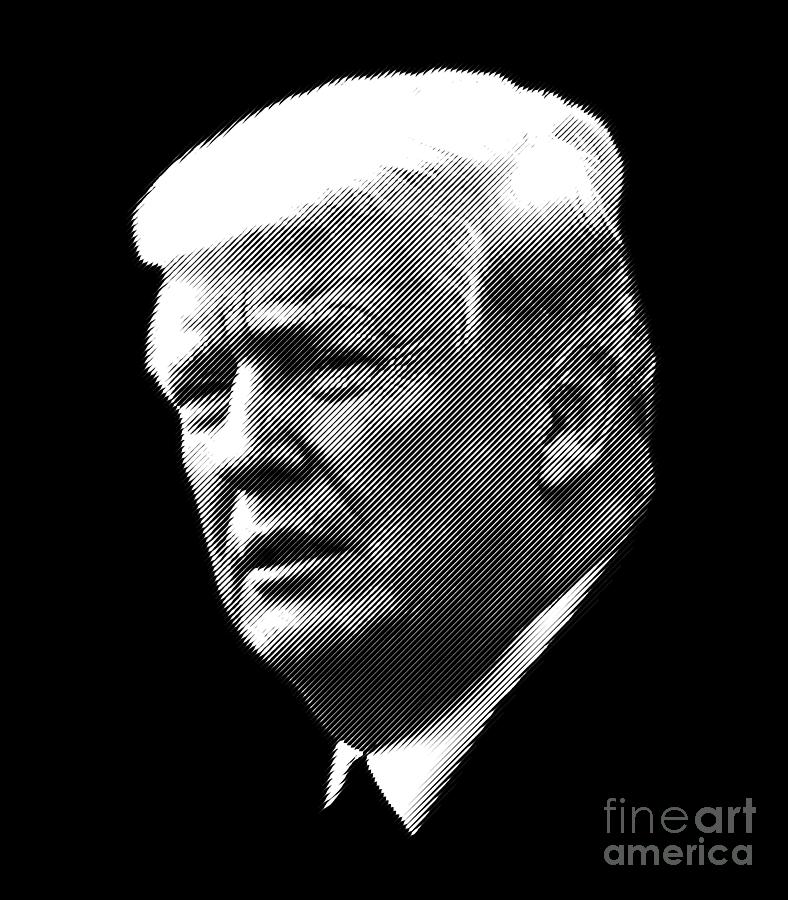 Donald Trump, face portrait Digital Art by Cu Biz