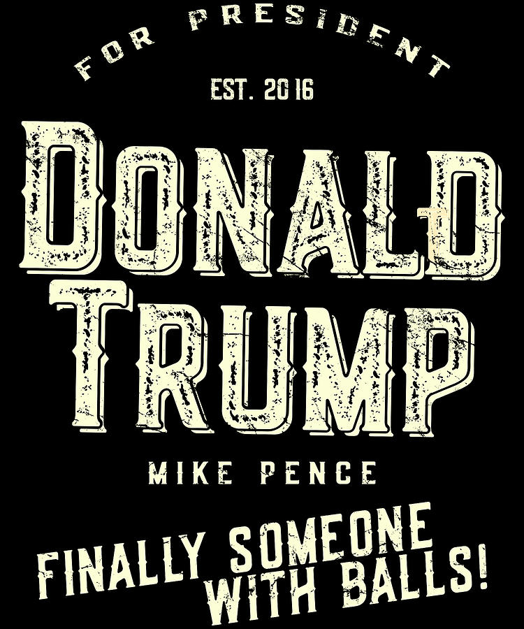 Donald Trump Mike Pence 2016 Retro Digital Art by Flippin Sweet Gear
