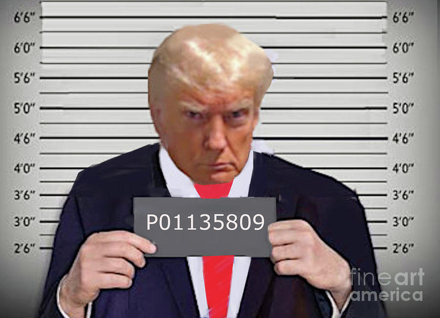 Donald Trump Mug Shot Photograph by Charles Robinson - Fine Art America