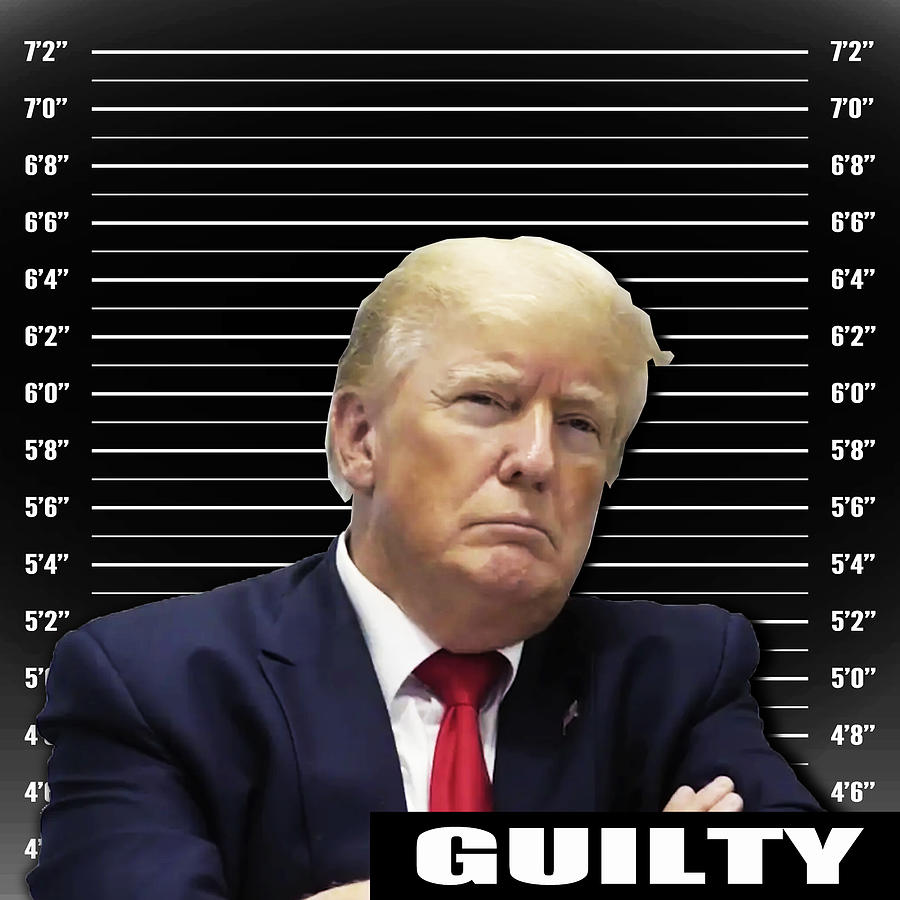 Donald Trump Mugshot GUILTY Painting by Tony Rubino