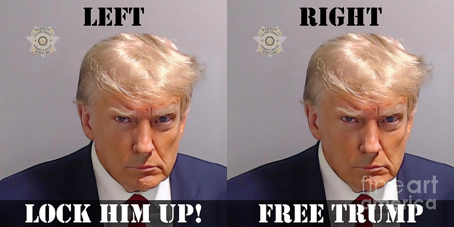 Donald Trump Photograph - Donald Trump Mugshot Left And Right 20230824 by Wingsdomain Art and Photography