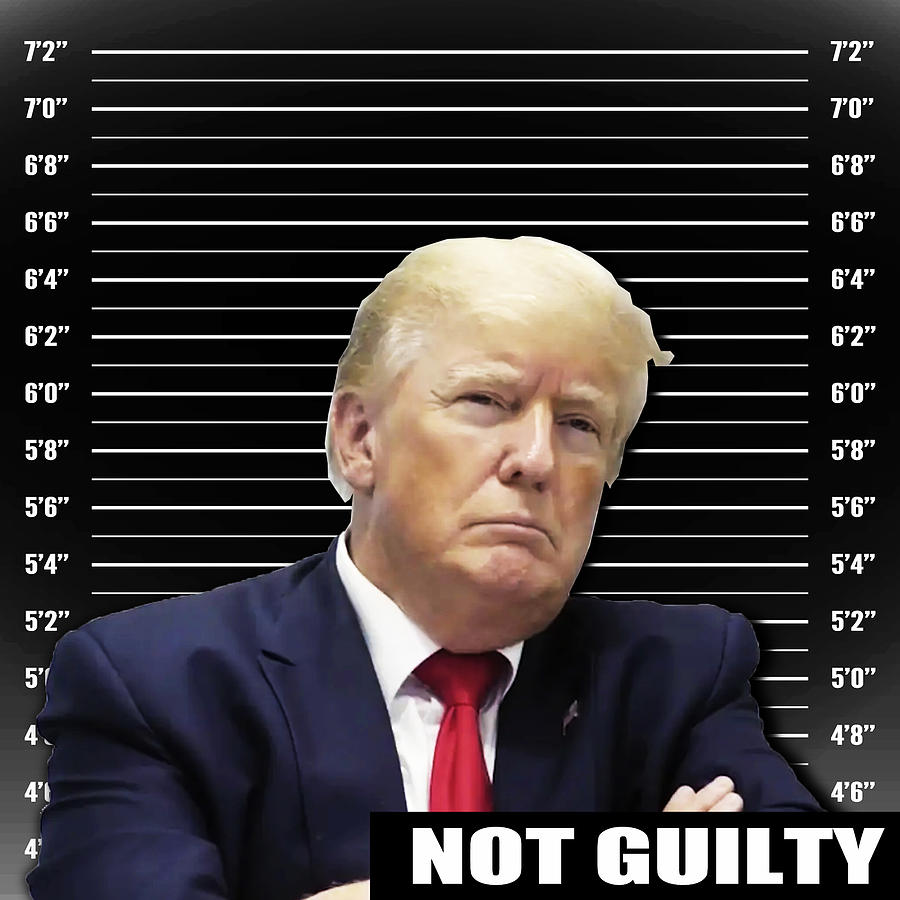 Donald Trump Mugshot NOT GUILTY Painting by Tony Rubino - Fine Art America