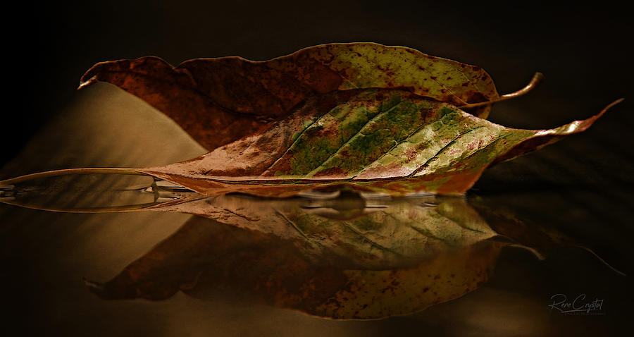 Fall Photograph - Done And Down by Rene Crystal