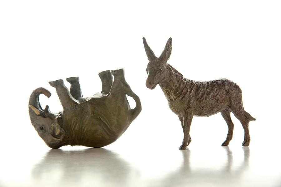 Donkey and defeated elephant miniatures Photograph by Bill Boch