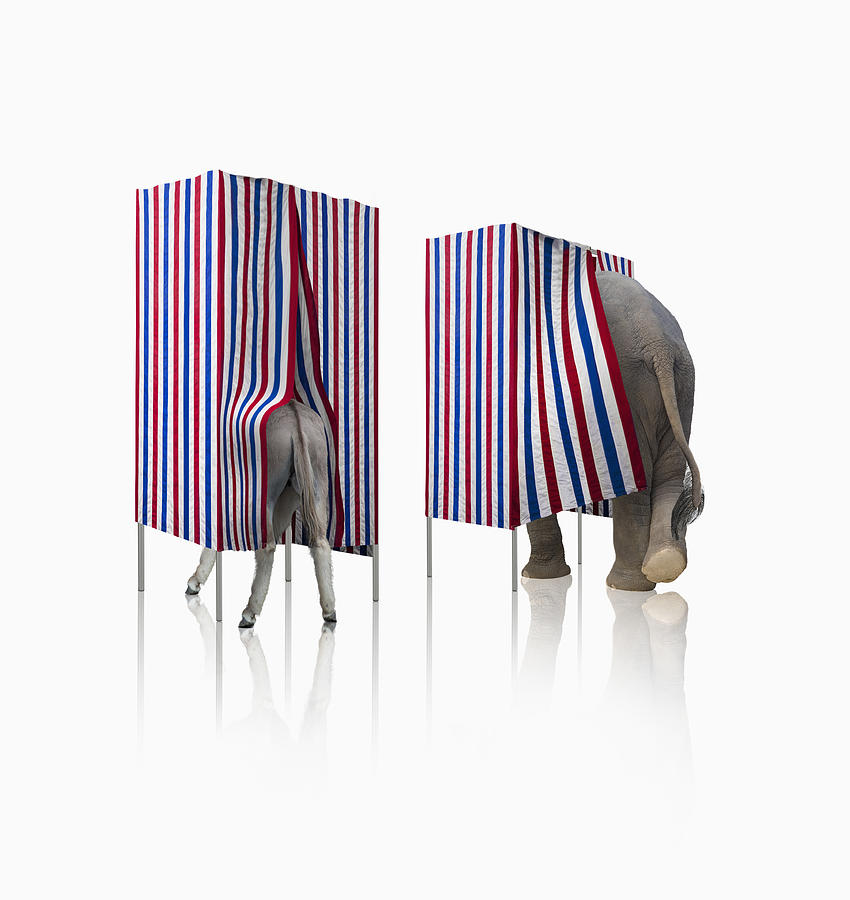 Donkey and elephant voting in voting booths Photograph by John M Lund Photography Inc
