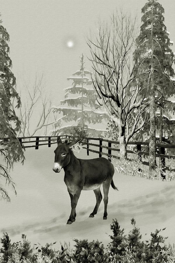 Donkey In The Winter Corral B W Mixed Media by David Dehner