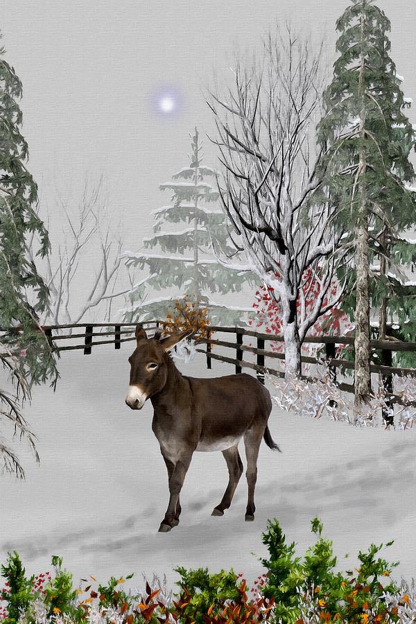 Donkey In The Winter Corral Color Mixed Media by David Dehner