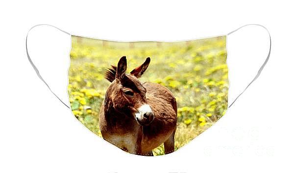 Donkey In Yellow Facemask Digital Art by Linda Cox