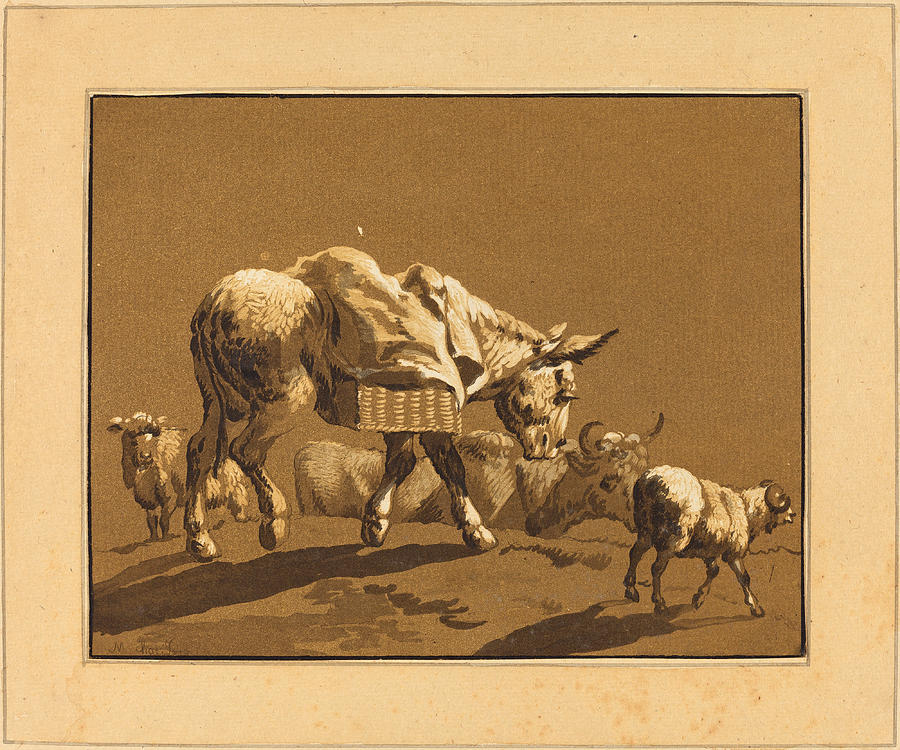 Donkey  Drawing by Johann Gottlieb Prestel