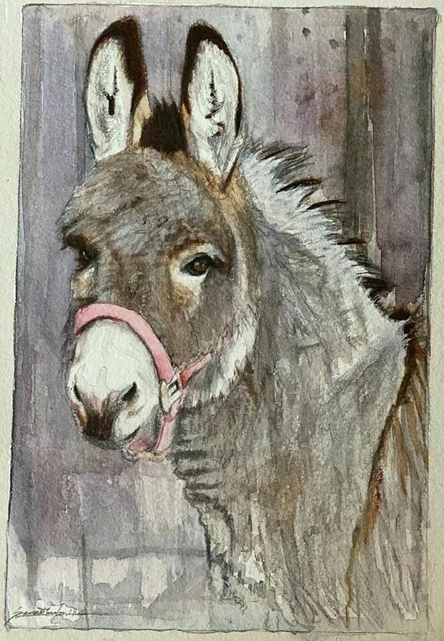 Donkey Painting - Donkey by Susie Gordon