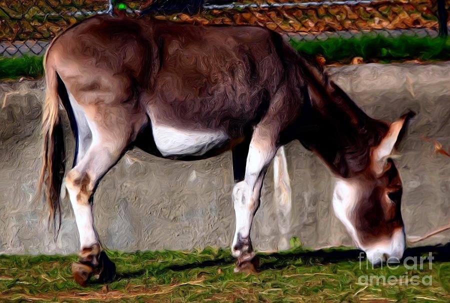 Donkey with Oil Painting Effect Photograph by Rose Santuci-Sofranko