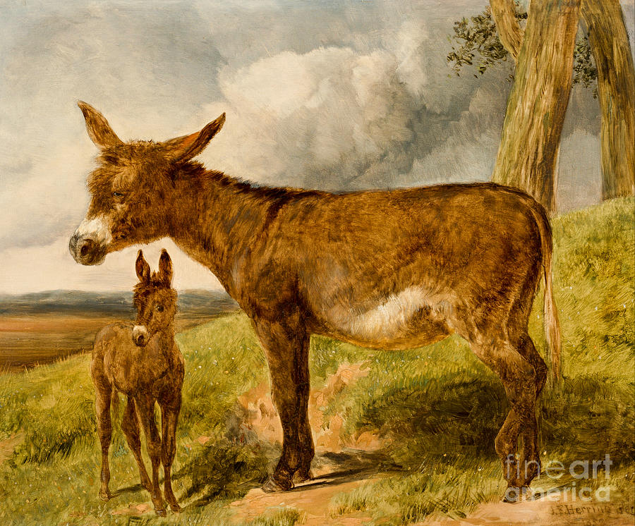 Donkeys 1852 Painting by Peter Ogden