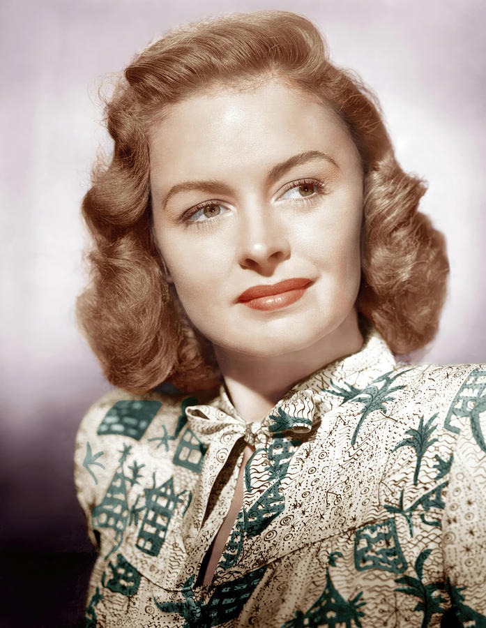 Donna Reed. Photograph by Album Donna Reed. Photograph by Album